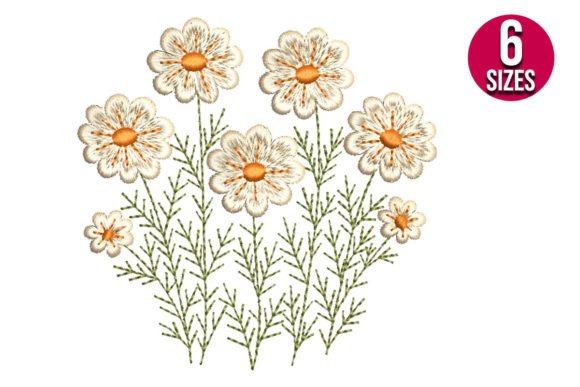 Daisy Wildflowers